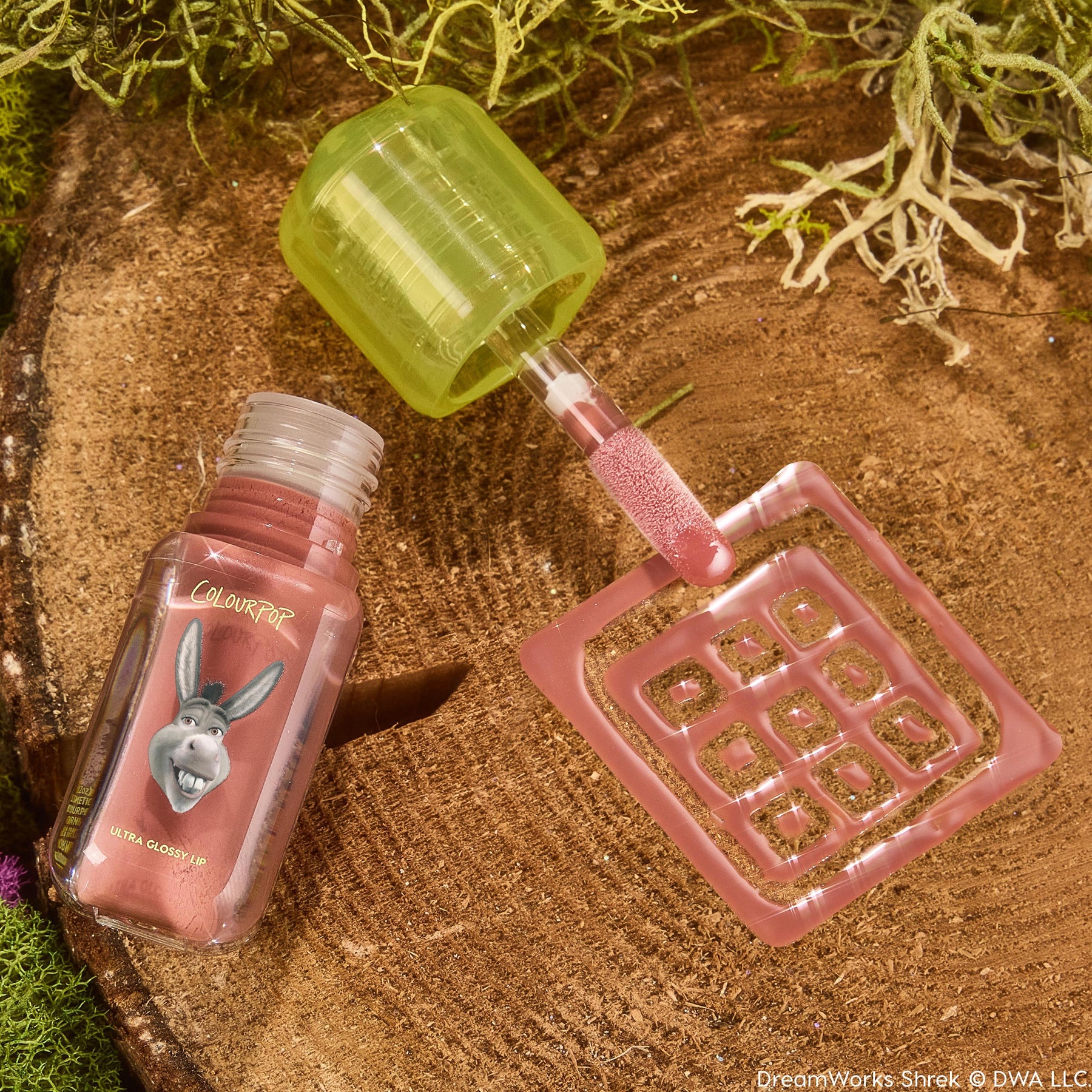 Noble Steed - Glossy Artistic Lip Shine