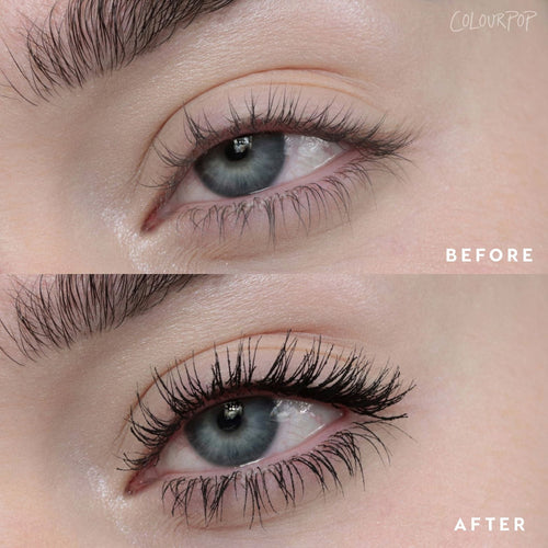 Black on Black - Buildable Professional Lash Favorite