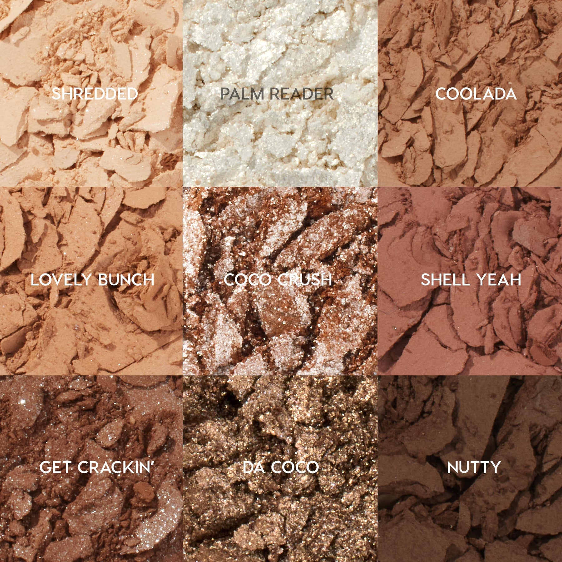 Going Coconuts - Lasting Festive Eye Moment