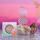 Soft Shell - Balanced Runway Cheek Flush