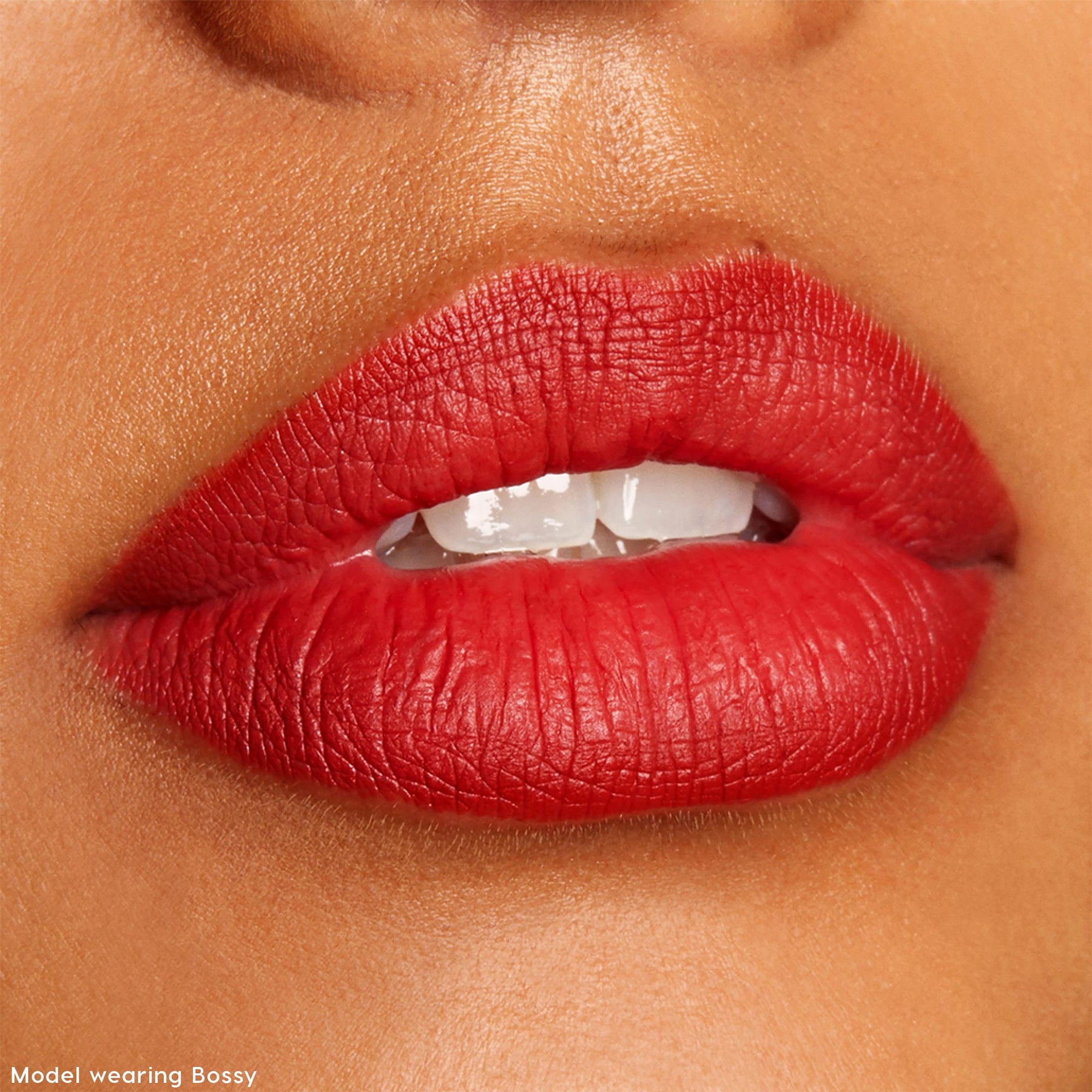 The Lil Box of Lippie Pencils - Dewy Curated Lip Pairing