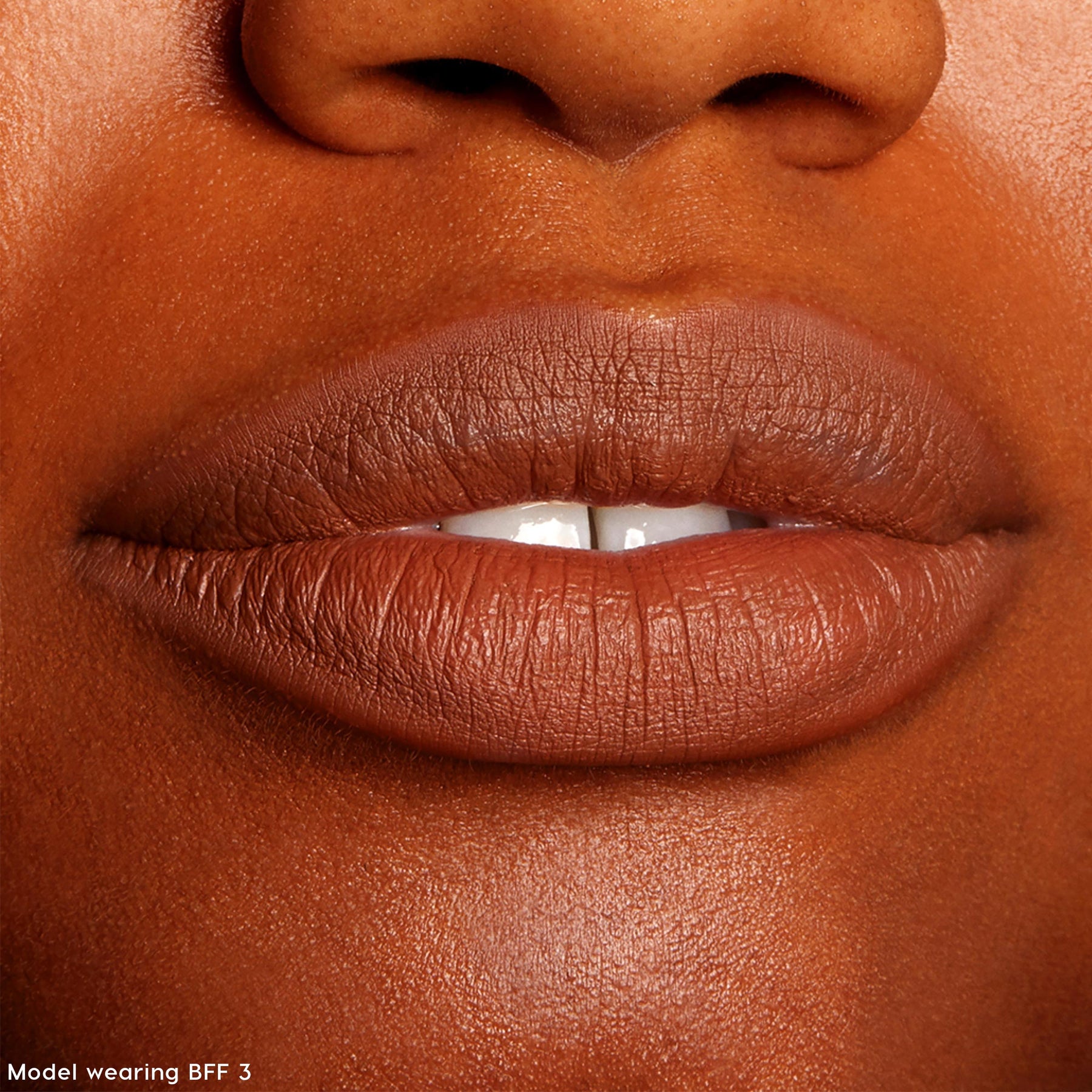 The Lil Box of Lippie Pencils - Dewy Curated Lip Pairing