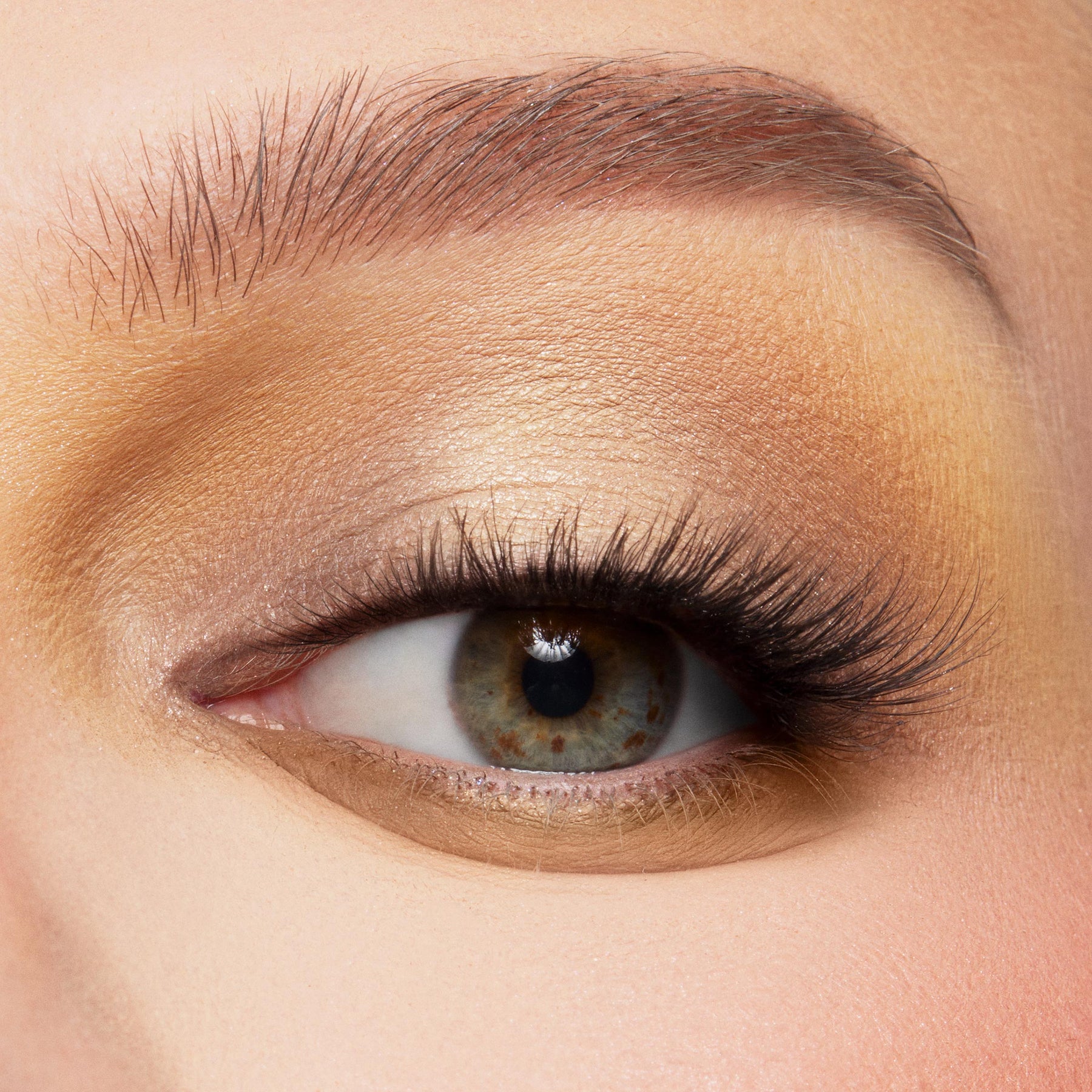 The Toys Are Here - Dreamy Curated Eye Routine
