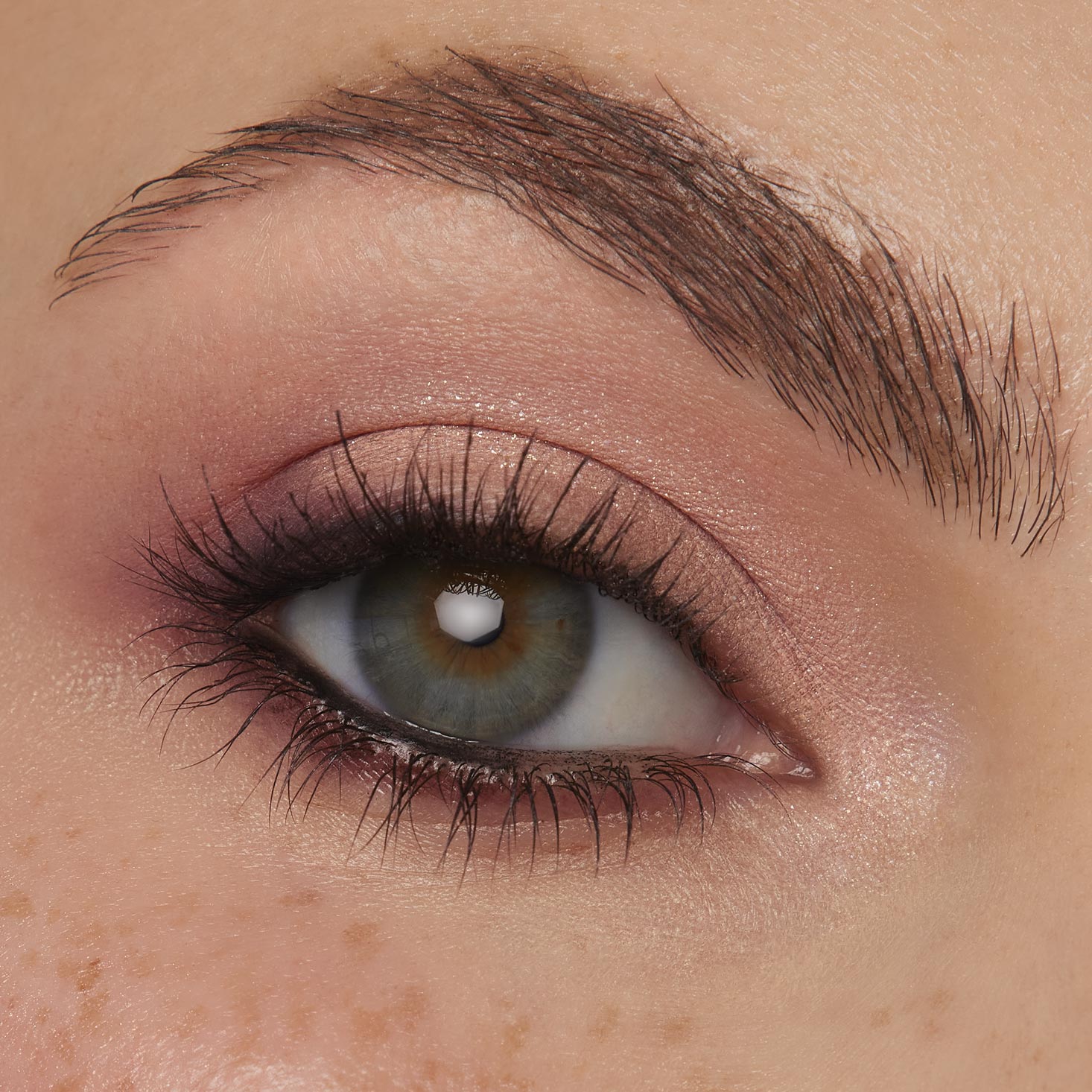 Coconut BB - Dewy Favorite Beauty Discovery