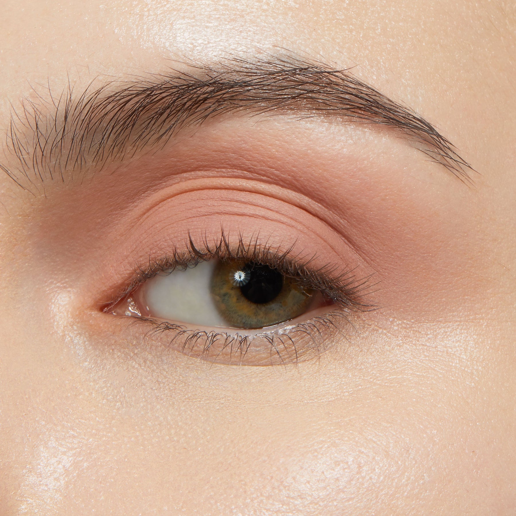 Bare With Me - Sheer Festive Eye Statement