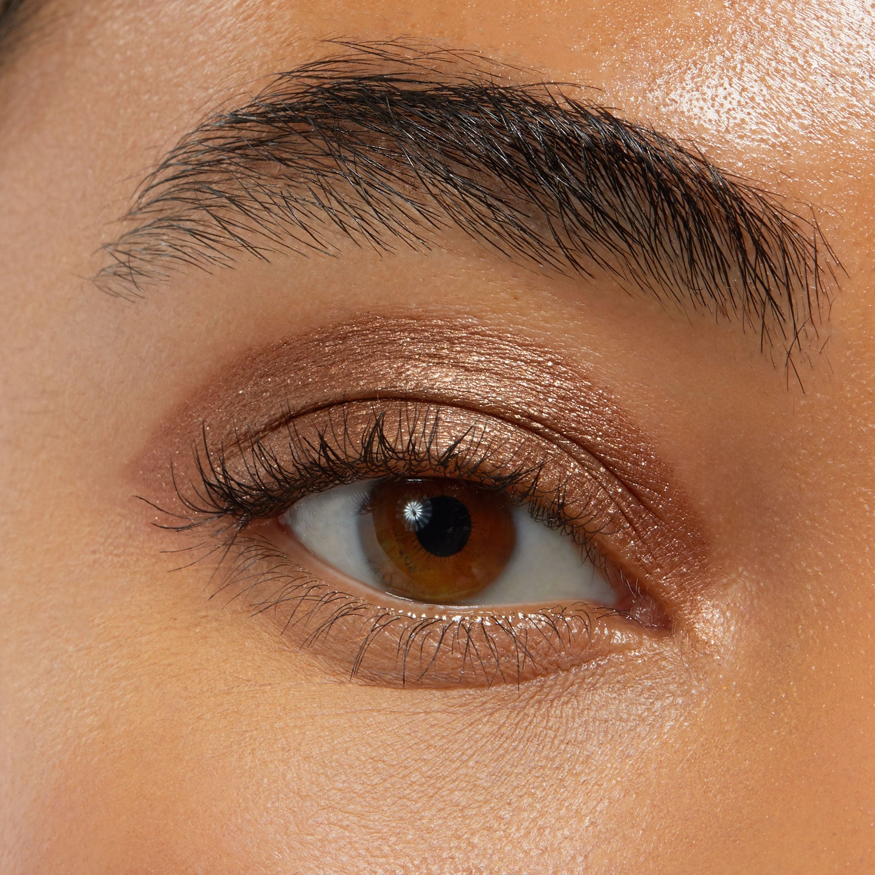 Quokka - Matte Vibrant Eye Duo