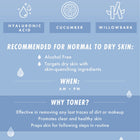 Waterfall Gentle Tonic - Natural Radiance Skin Care