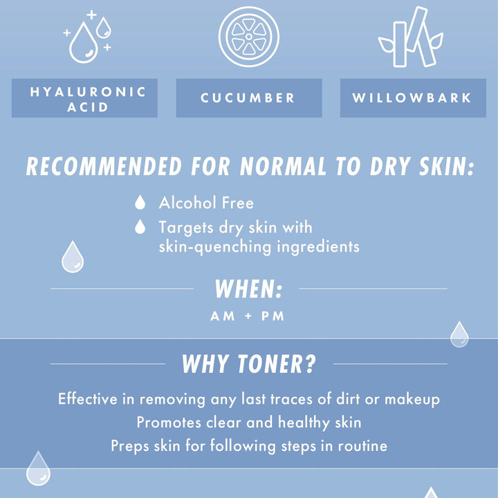Waterfall Gentle Tonic - Natural Radiance Skin Care