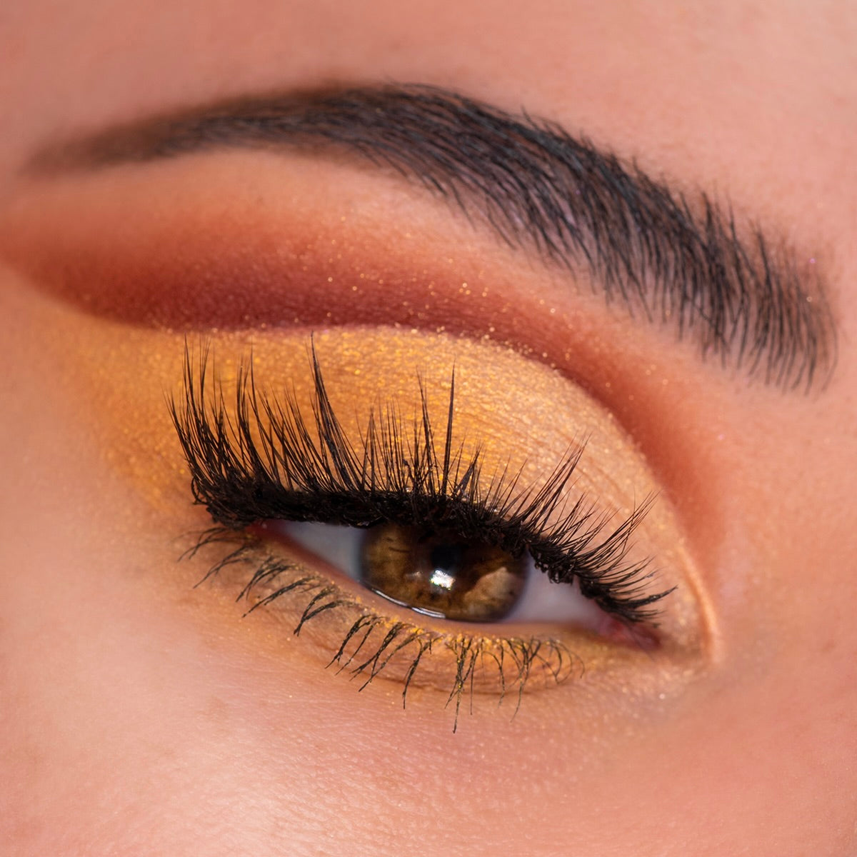 Sweet as Hunny - Prismatic Timeless Beauty Showcase