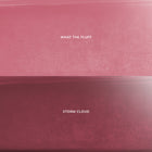 Mocha Plum - Matte Studio Beauty Collection