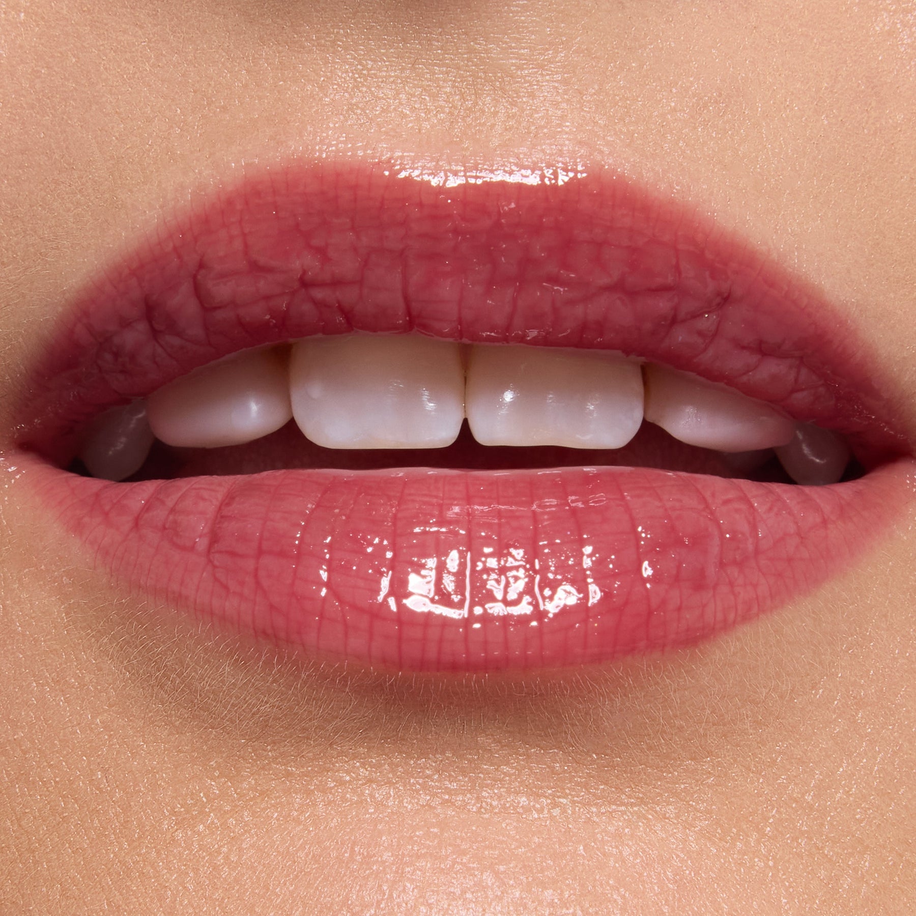 Short Lord - Delicate Modern Lip Lineup