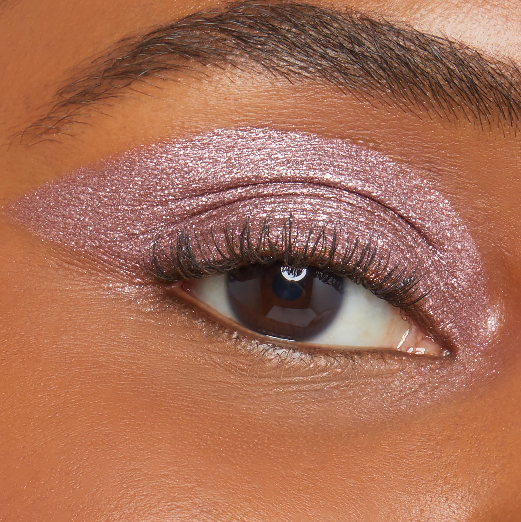 Neutral Swipe - Prismatic Professional Eye Moment