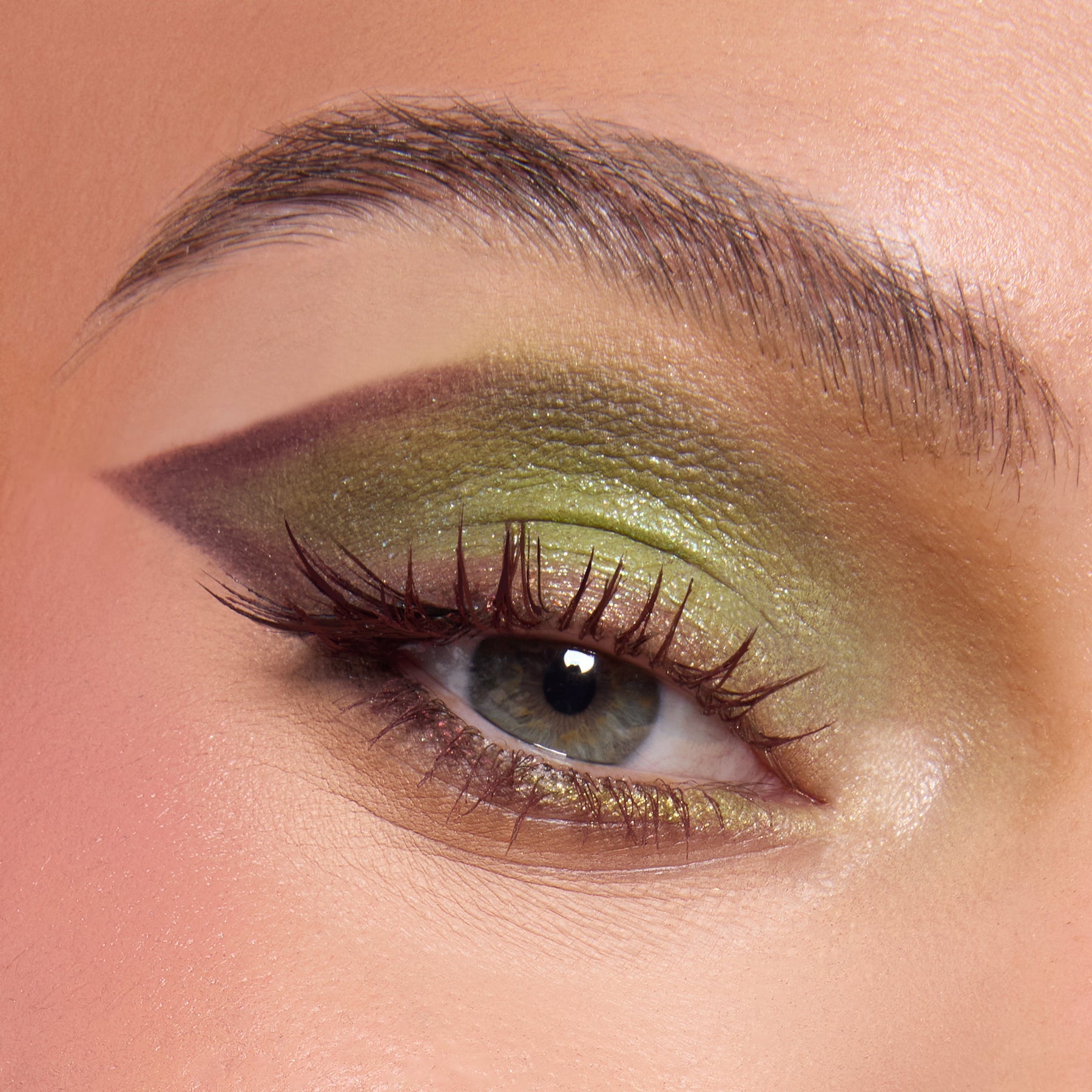 Shrek-Spress Yourself - Sheer Complete Beauty Match