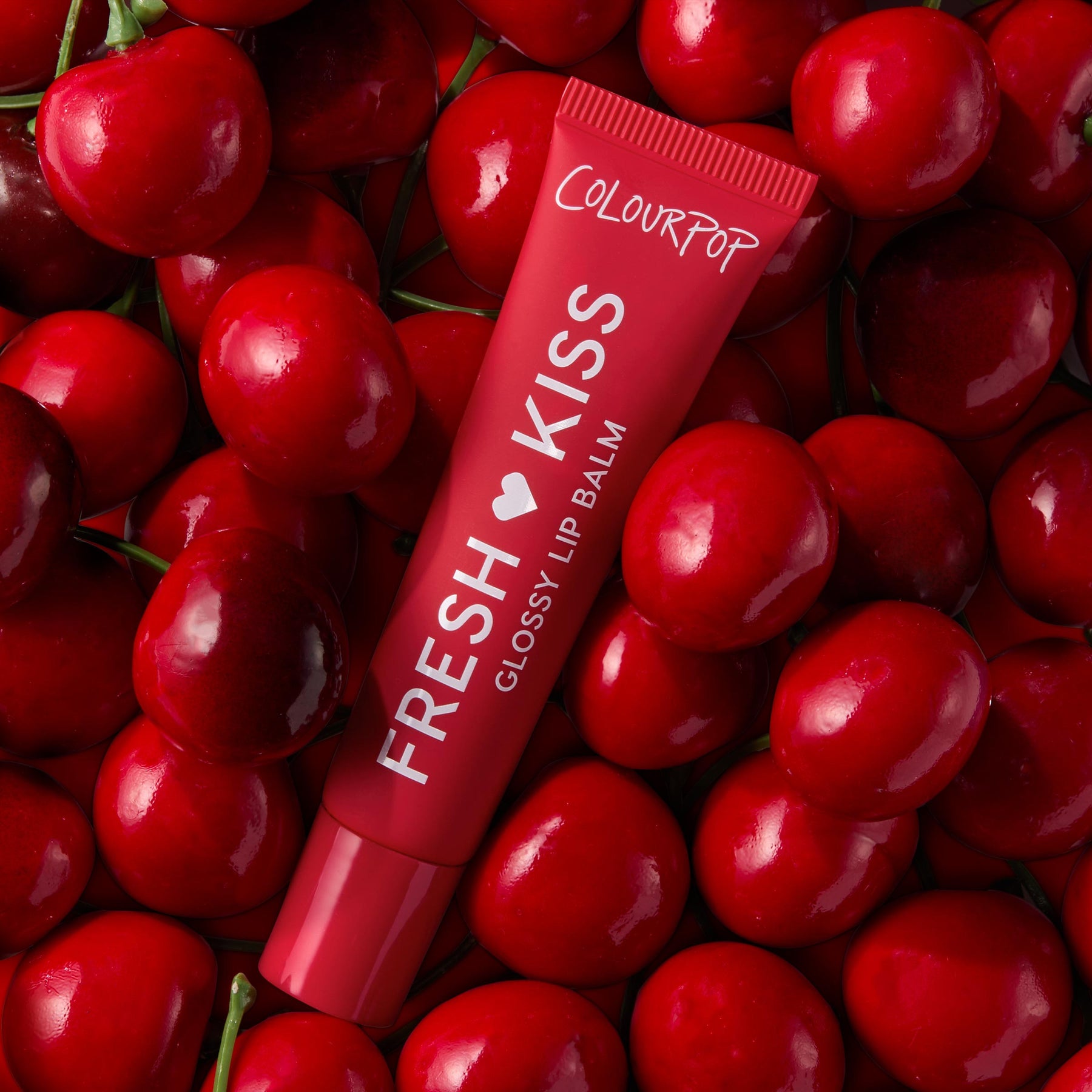 Fruit Basket - Delicate Everyday Beauty Spotlight