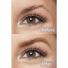 Black N' Brown Pencil - Modern Confident Brow Control