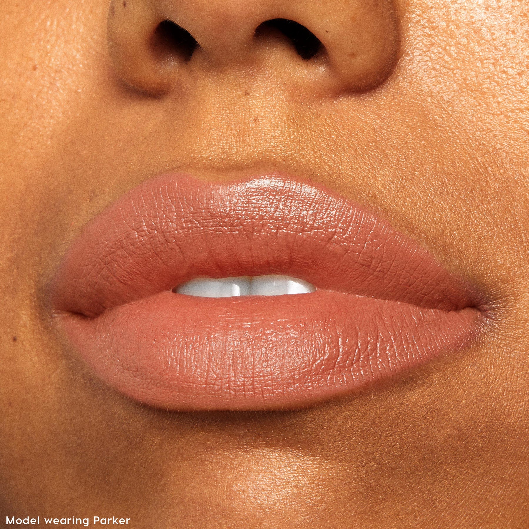 The Lil Box of Lippie Stix - Graceful Premium Lip Look