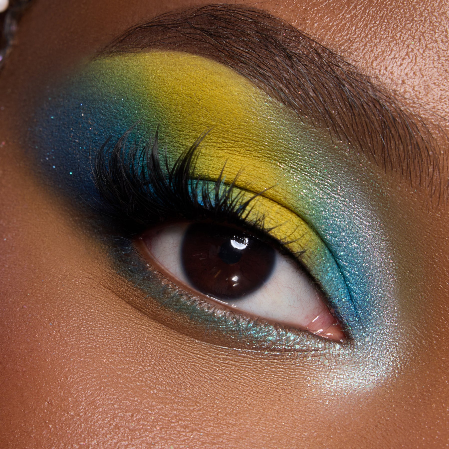 Under the Sea - Classic Seasonal Eye Pick