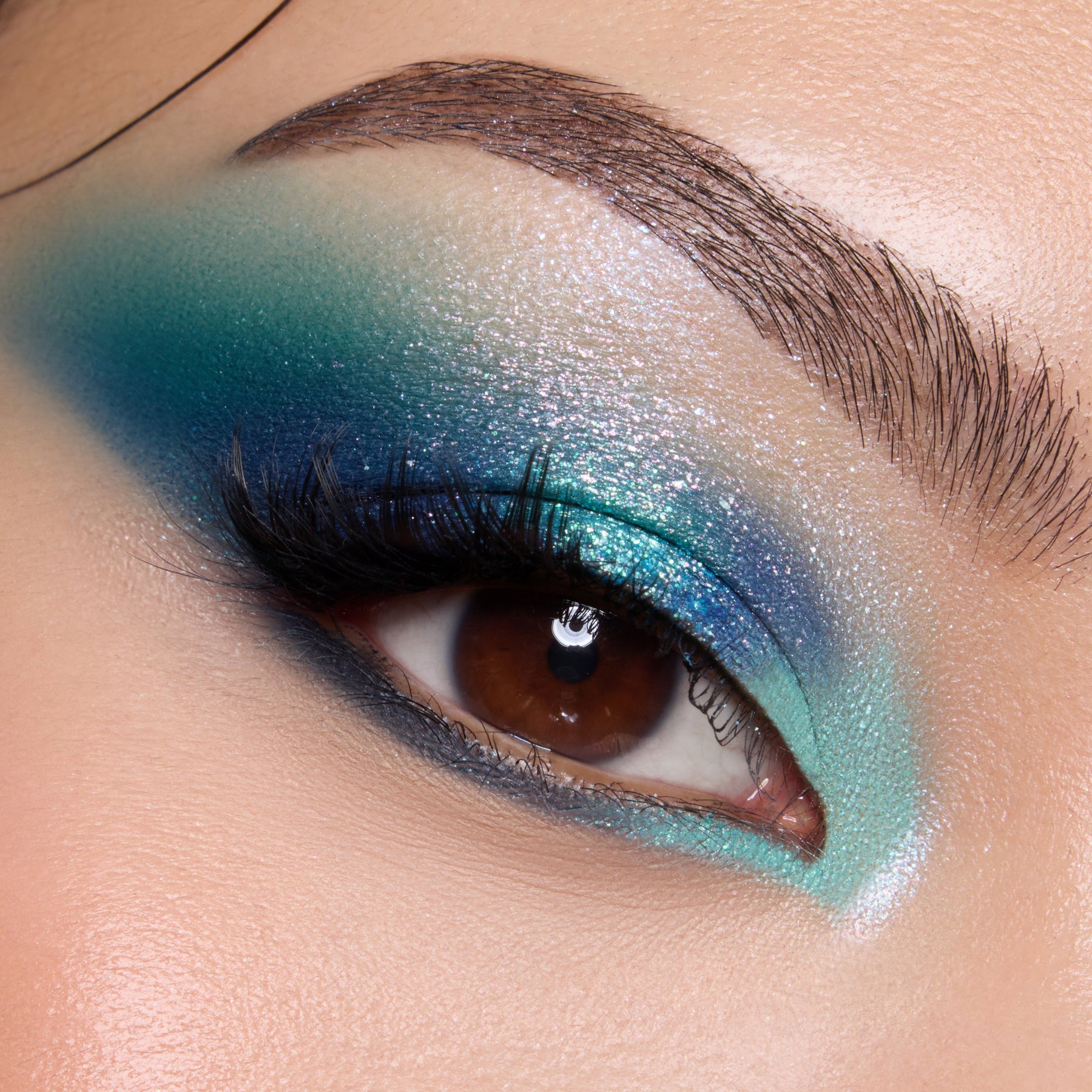 Under the Sea - Classic Seasonal Eye Pick